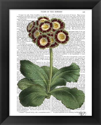 Framed Primula Auricula Red Print