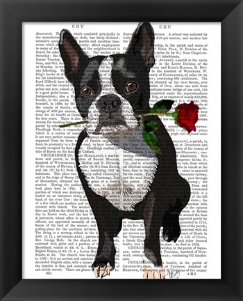 Framed Boston Terrier with Rose in Mouth Print