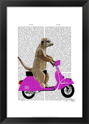 Framed Meerkat on Pink Moped Print