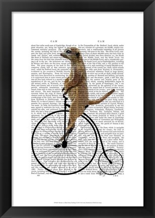 Framed Meerkat on Black Penny Farthing Print