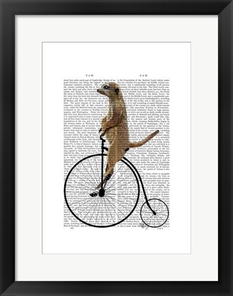 Framed Meerkat on Black Penny Farthing Print