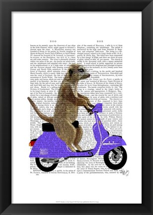 Framed Meerkat on Lilac Moped Print