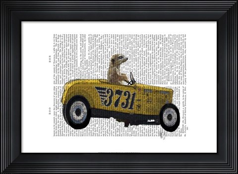 Framed Meerkat in Hot Rod Print