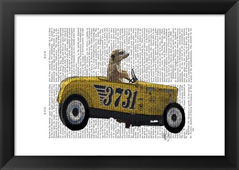 Framed Meerkat in Hot Rod Print