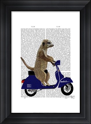 Framed Meerkat on Dark Blue Moped Print