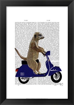 Framed Meerkat on Dark Blue Moped Print