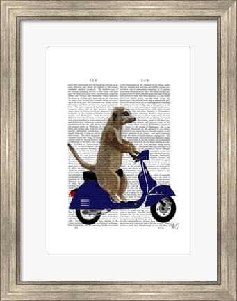 Framed Meerkat on Dark Blue Moped Print