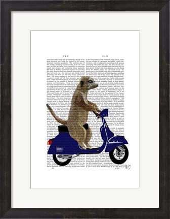 Framed Meerkat on Dark Blue Moped Print