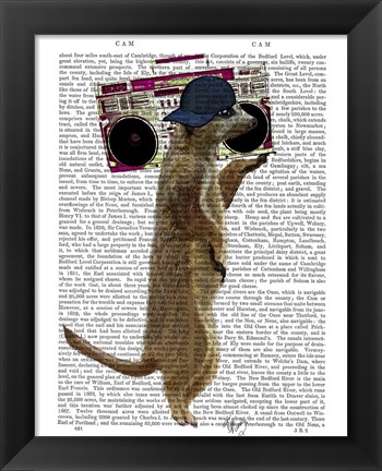 Framed Meerkat with Boom Box Ghetto Blaster Print