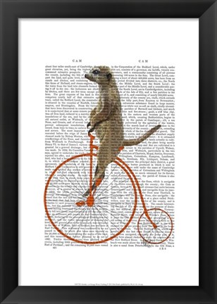 Framed Meerkat on Orange Penny Farthing Print