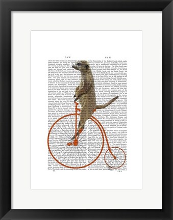 Framed Meerkat on Orange Penny Farthing Print