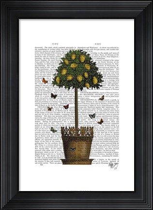 Framed Lemon Tree Print