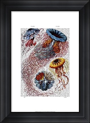 Framed Sea Anemone Print