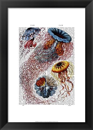 Framed Sea Anemone Print