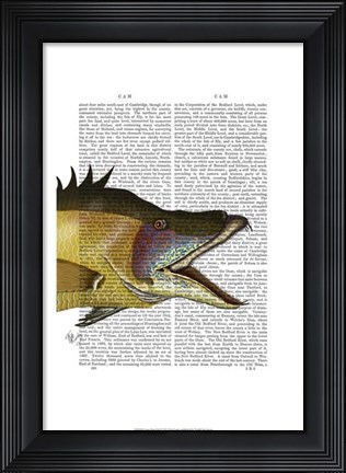 Framed Great Hog Fish Print