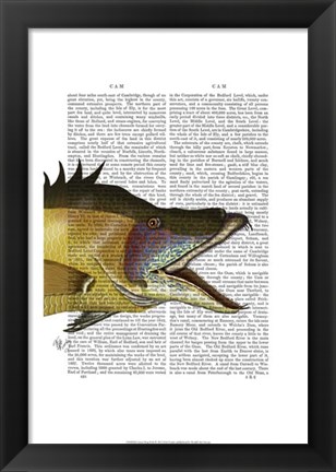 Framed Great Hog Fish Print