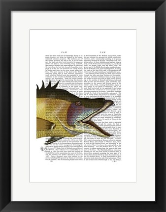 Framed Great Hog Fish Print