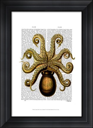 Framed Vintage Yellow Octopus Underside Print