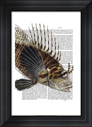 Framed Vintage Spiky Fish Print
