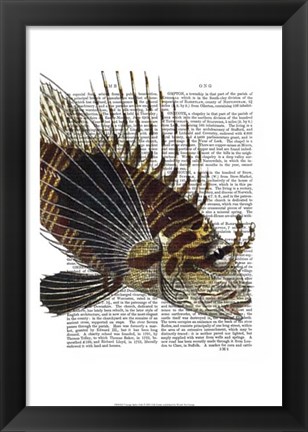 Framed Vintage Spiky Fish Print