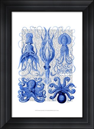 Framed Octopus &amp; Squid Blue Print