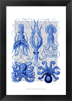 Framed Octopus &amp; Squid Blue Print