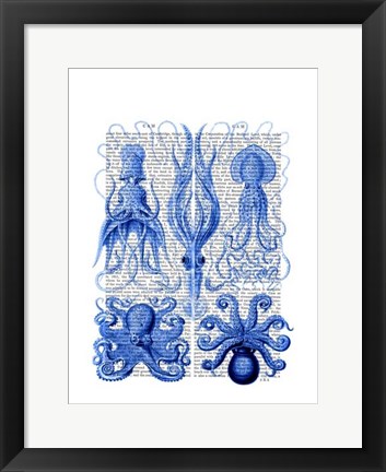 Framed Octopus &amp; Squid Blue Print