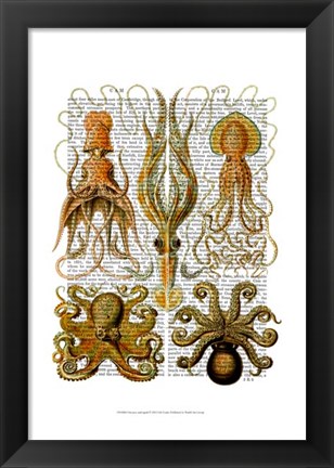 Framed Octopus and squid Print