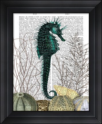 Framed SeaHorse and Sea Urchins Print