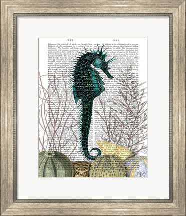 Framed SeaHorse and Sea Urchins Print