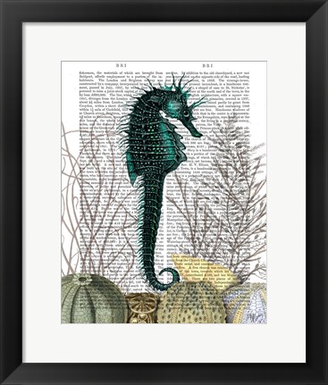 Framed SeaHorse and Sea Urchins Print