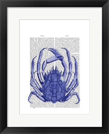 Framed Blue Crab Print