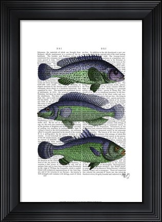 Framed Blue and Green Fish Trio Print