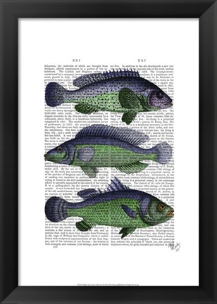 Framed Blue and Green Fish Trio Print