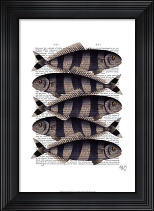 Framed Five Striped Fish Print