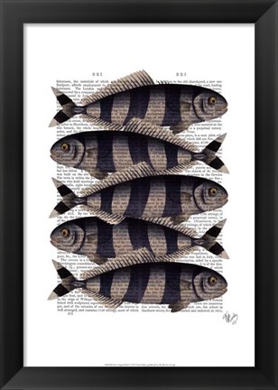 Framed Five Striped Fish Print