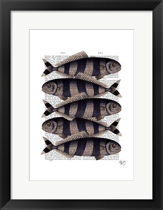 Framed Five Striped Fish Print