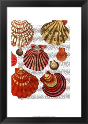 Framed Red Clam Shells Print