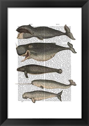 Framed Five Vintage Whales Print