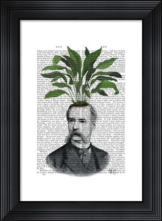Framed Aspidistra Head Plant Head Print
