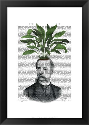 Framed Aspidistra Head Plant Head Print