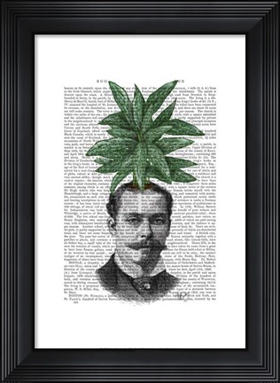 Framed Chinese Evergreen Head Plant Head Print