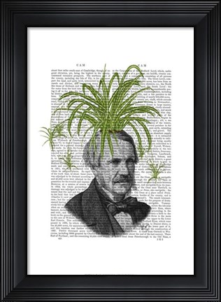 Framed Spider Plant Head Print