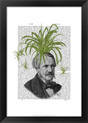 Framed Spider Plant Head Print