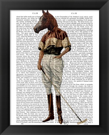 Framed Polo Horse Full Print