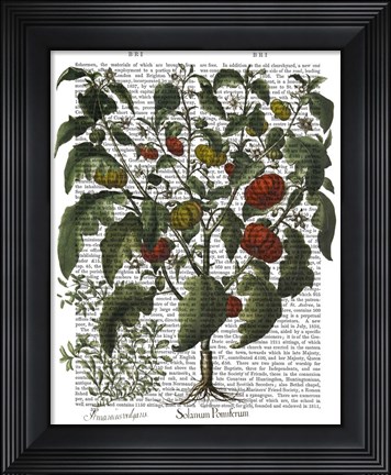 Framed Peppers 2 Print