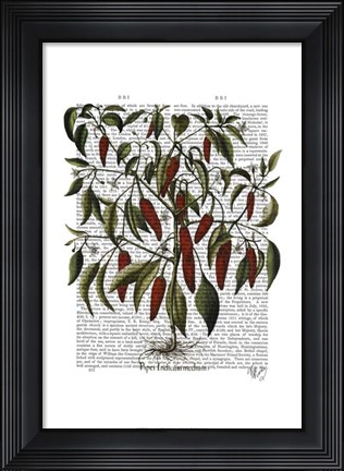 Framed Peppers 3 Print