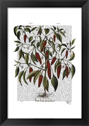 Framed Peppers 3 Print