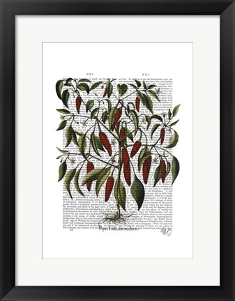 Framed Peppers 3 Print