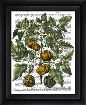 Framed Peppers 5 Print